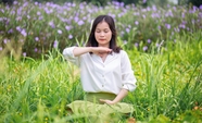 球队分析